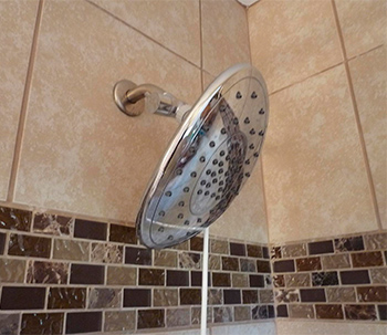 Showerbreeze Water Jet Dental Irrigator