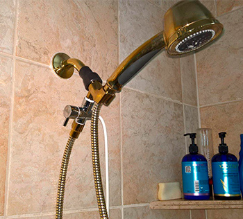 Showerbreeze Water Jet Dental Irrigator